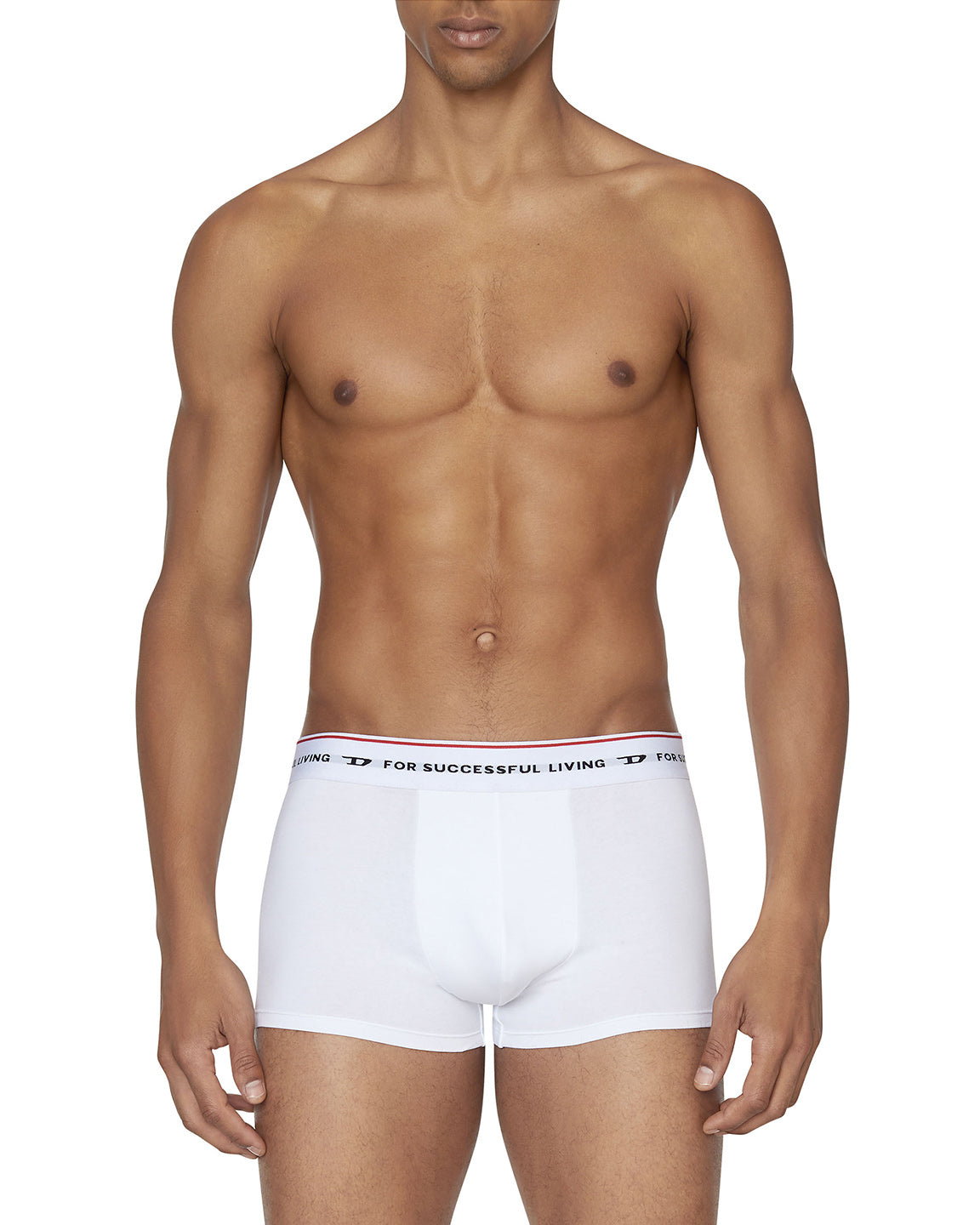 Diesel - Boxershorts - DAMIEN E4877 (3-Pack)