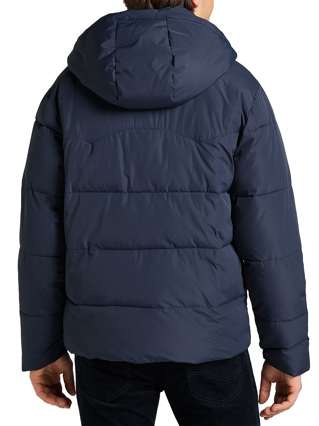 Lee - Winter Jacket - Puffer Jacket Navy